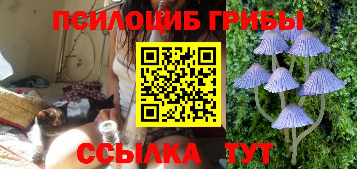 Галлюциногенные грибы прущие грибы Партизанск