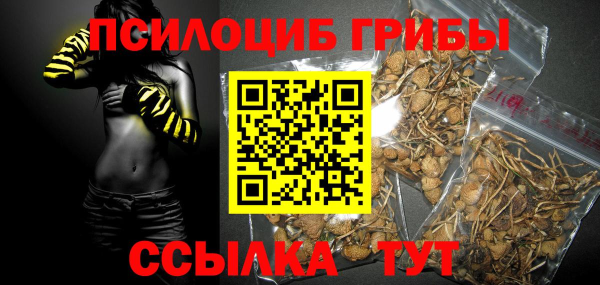 Псилоцибиновые грибы Psilocybine cubensis  Вход с VPN  наркота  Партизанск 
